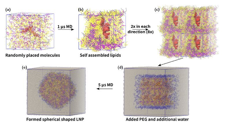 siRNA-Lipid-Nanoparticles