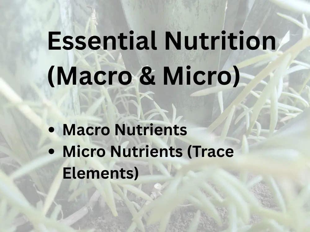 Essential-Macro-Micro-Nutrition