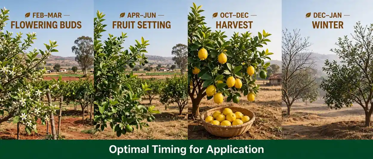 optimal-timing-for-bio-potash-application