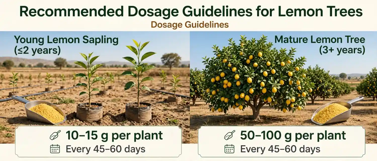recommended-dosage-guidelines-for-lemon-trees